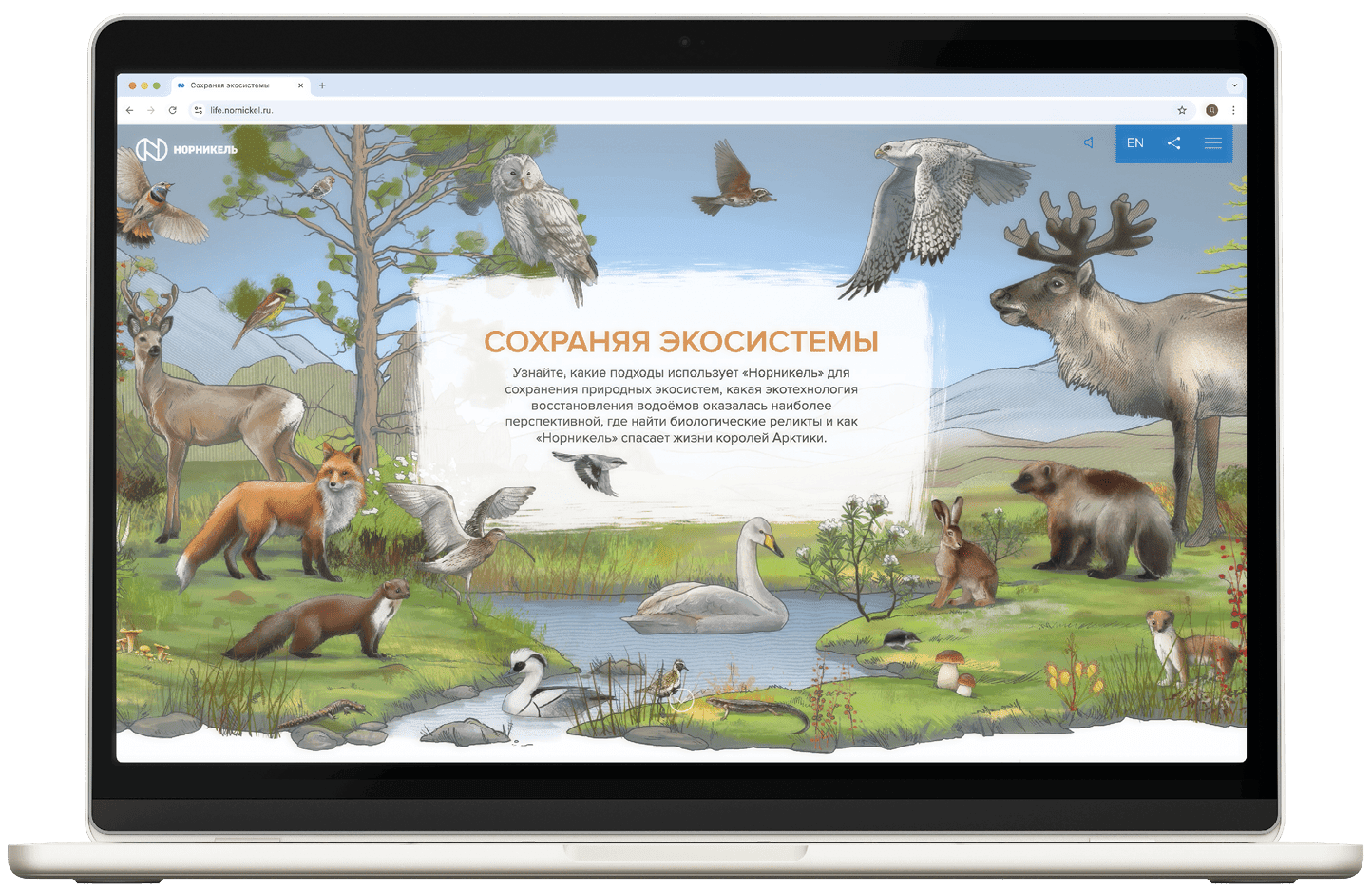 Conserving biodiversity and natural ecosystems